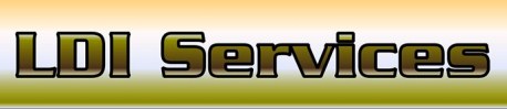 LDI Services
